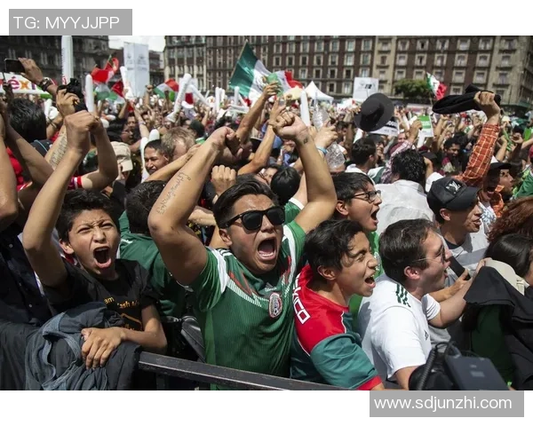 世界杯的民族情绪盛宴是否在无形中加剧了国家主义的狂热与对立